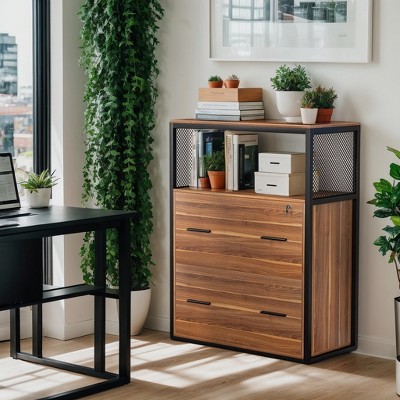 Hommoo 2-Drawer File Cabinet, Letter/Legal / A4 Size Filing Cabinet with Lock