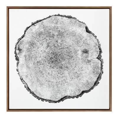 30" x 30" Sylvie Tree Rings Framed Wall Canvas by Emiko and Mark Franzen: Modern Botanical Art - Kate & Laurel All Things Decor