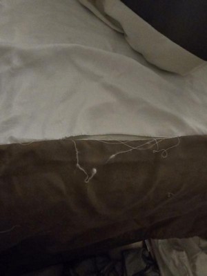 Guest review image 1 of 2, zoom in