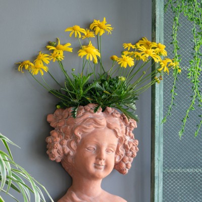 DSVIMOY Visage Head Bust Planter, Home Wall Planter, Modern Design for Indoor and Outdoor Spaces, Brown, 7.9"*3.9"*9.1"