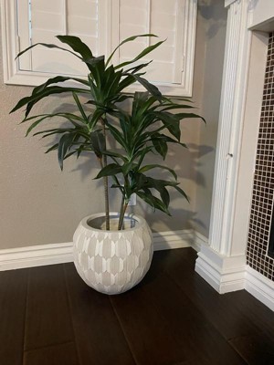 Guest review image 2 of 2, zoom in
