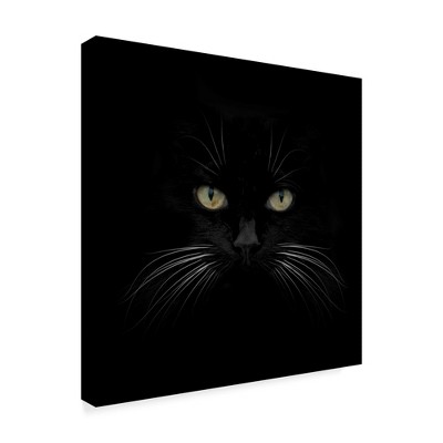 Lori Hutchison 'Black Cat Centered' Canvas Art