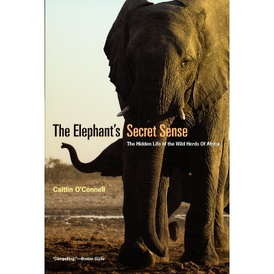 The Elephant's Secret Sense - by  Caitlin O'Connell (Paperback)