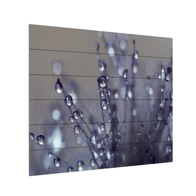 Trademark Fine Art-Beata Czyzowska Young 'Evening Jewels' Multi Panel Art Set Large 3 Piece