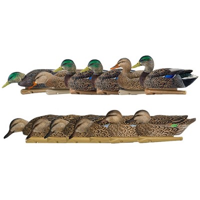 Avian Topflight Mallard Duck, 6 Pack, with Topflight Early Season Teal, 6 Pack, Realistic True to Life Outdoor Hunting Decoy Sets