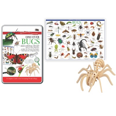 Wonders of Learning Tin Sets