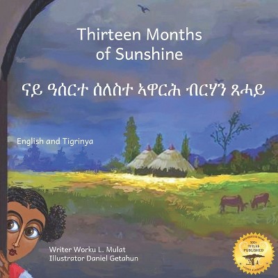 Thirteen Months of Sunshine - by  Ready Set Go Books (Paperback)