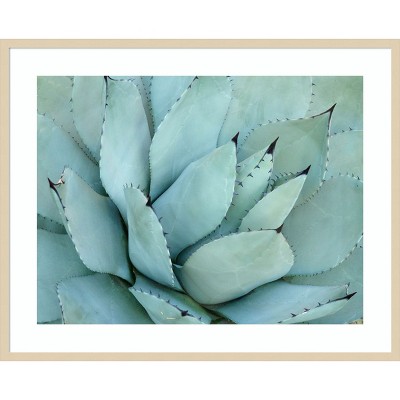 Amanti Art Agave Detail IV by Brittany Evans Wood Framed Wall Art Print