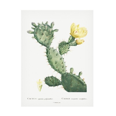 Trademark Fine Art - Pierre Redoute  Redoute Cactus I Canvas Art