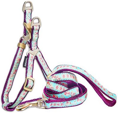 Touchdog  'Avery Patterned' Tough Stitched Dog Harness and Leash