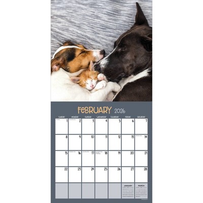 TF Publishing 13.5"x14.5" 2026 Furry Friends Wall Calendar