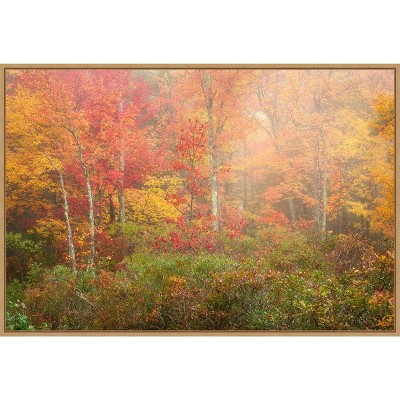 Amanti Art Soft Fall Forest Pallet by Patrick Zephyr Canvas Wall Art Print Framed 33-in. x 23-in.