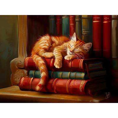 Sunsout Library Nap 1000 pc Jigsaw Puzzle 77103