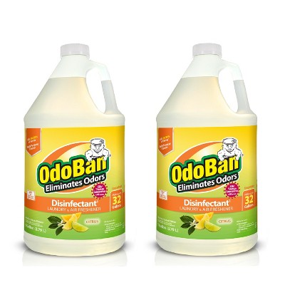 OdoBan Disinfectant Concentrate and Odor Eliminator, Citrus Scent