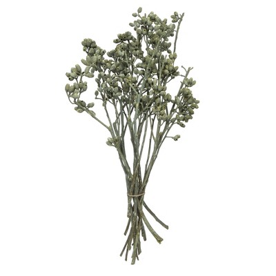 Vickerman Natural Botanicals 12" x 1-3" Eucalyptus Clusters on stem, 16 stems per unit