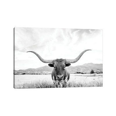 Longhorn by Sisi & Seb Unframed Wall Canvas - iCanvas