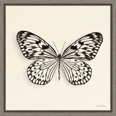 Amanti Art Butterfly V BW Crop by Debra Van Swearingen Framed Canvas Wall Art