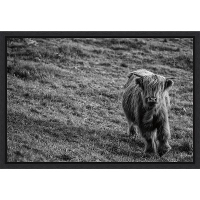 Amanti Art Highland Cow Calf in the Wind by Nathan Larson Canvas Wall Art Print Framed 23 x 16-in.