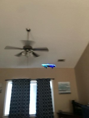 Guest review image 1 of 4, zoom in
