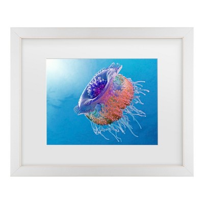 Trademark Fine Art - Henry Jager Crown Jellyfish Matted Framed Art