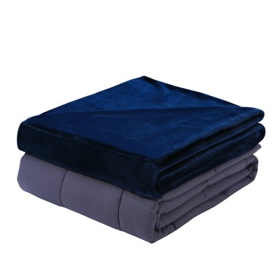 48"x72" 15lbs Plush Weighted Blanket with Removable Cover - DreamLab