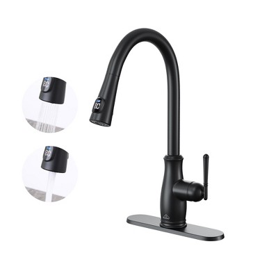 CASAINC Single Handle Pull Down Sprayer Kitchen Faucet with Intelligent Temperature Display in Matte Black