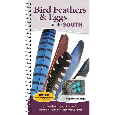 Bird Feathers & Eggs of the South - (Adventure Quick Guides) by  Stephanie Panlasigui (Spiral Bound)