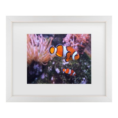 Trademark Fine Art - Nikie  Nemo Matted Framed Art