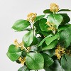 Privet Seeded Potted Artificial Arrangement - Threshold™ designed with Studio McGee - 3 of 4