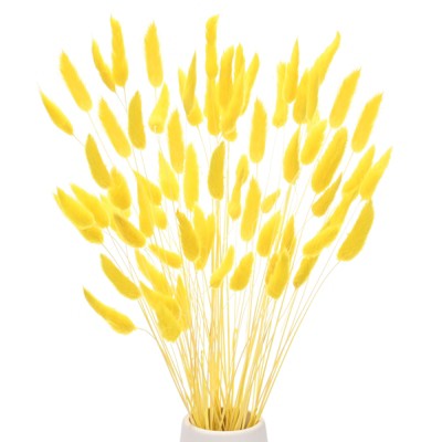 Unique Bargains Artificial Dried Flowers Realistic Look Pampas Bunny Tails Grass 17 Inch