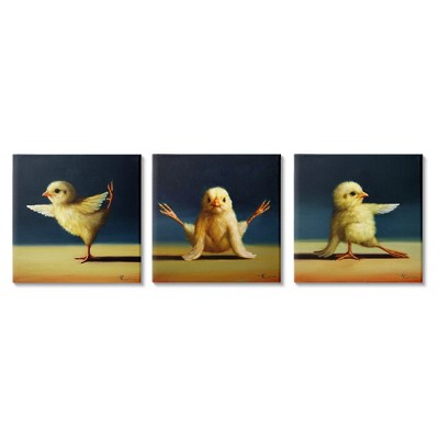 Stupell Industries Funny Yoga Chick Trio Farm Birds Stretching Poses 3pc Canvas Art Set