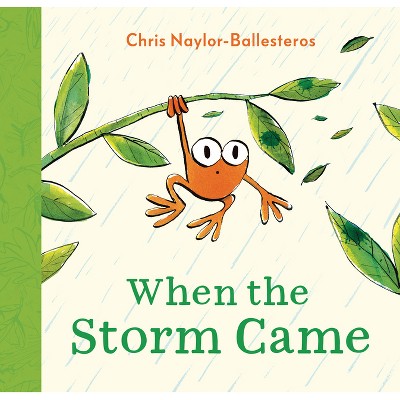 When the Storm Came - by  Chris Naylor-Ballesteros (Hardcover)