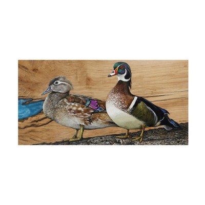 Jim Brune 'Wood Ducks Home Sweet Home' Canvas Art