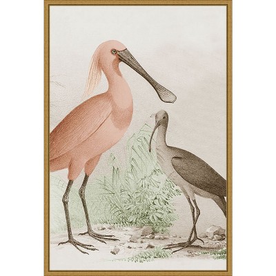 Amanti Art Antique Chroma Waterbirds II by  Framed Canvas Wall Art