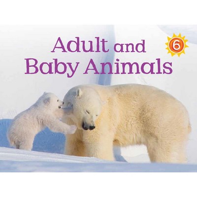 Adult and Baby Animals - (Nunavummi Reading) by  Kelly Ward-Wills (Paperback)