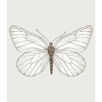 White Butterfly Tapestry - RoomMates: Modern Polyester Decor for Bedroom, Dorm, Horizontal Display