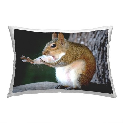 Stupell Industries Funny Squirrel Pose