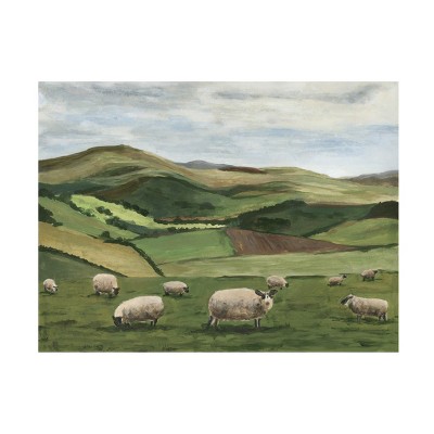 Trademark Fine Art - Michael Willett  Highland Sheep II Canvas Art
