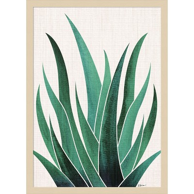 Amanti Art Desert Agave Cactus by Kristian Gallagher Wood Framed Wall Art Print