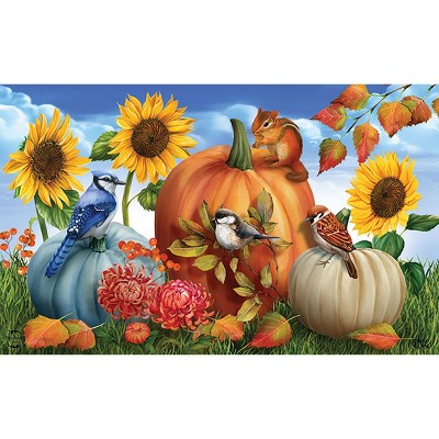 Briarwood Lane Fall Doormat 30x18 Indoor Outdoor Fall Pumpkin Gathering For Fall Doormat