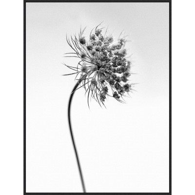32" x 42" Amid The Flowers 52 by Teis Albers Framed Canvas Wall Art Print - Amanti Art: Modern Lithograph, Polystyrene Frame