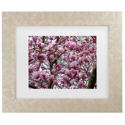 Trademark Fine Art - Leslie Montgomery Under The Tulip Tree Matted Framed Art