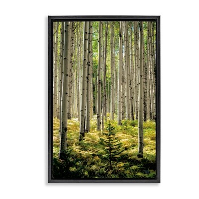 Stupell Industries Small And Tall Birch Forest Floating Frame Canvas Art