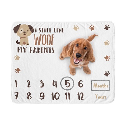 Sweet Jojo Designs Dog Birthday Milestone Blanket Woof Brown and White