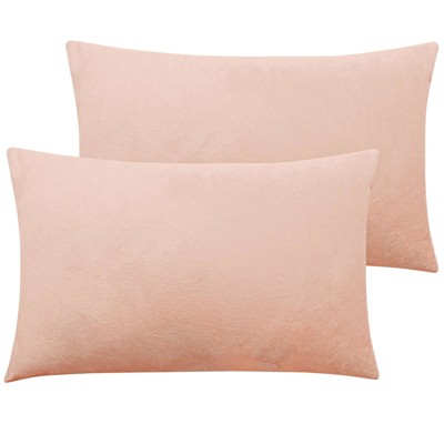 2 Pack Zippered Velvet Pillowcases, Super Soft and Cozy Luxury Fuzzy Flannel Pillow Cases - NTBAY