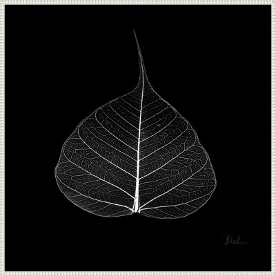 Amanti Art Minimalism in Black I by Patricia Pinto Framed Canvas Wall Art