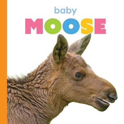 Baby Moose - (Starting Out) by  Kim Thompson (Paperback)