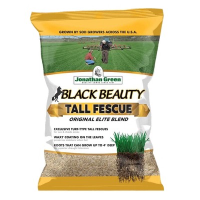 Jonathan Green Black Beauty Tall Fescue Grass Seed Blend, 50lb