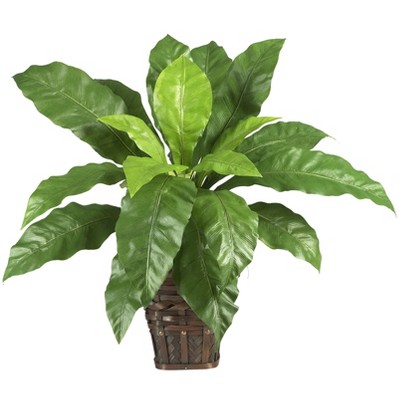 Nearly Natural Birds nest Fern with Wicker Basket
