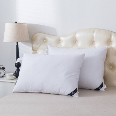Standard/Queen Medium/Firm Machine Washable 2pk Charcoal Infused Bed Pillow - St. James Home